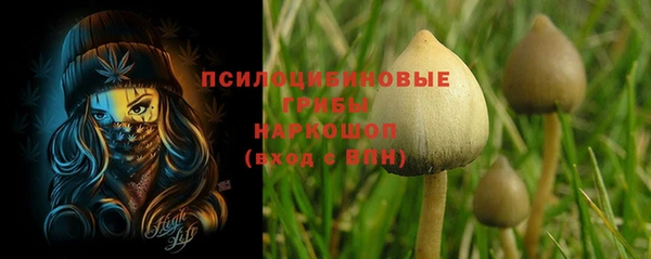гидропоника Приозерск