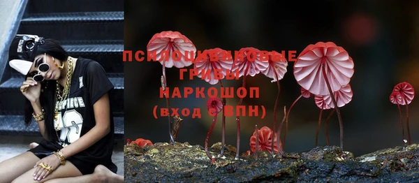 МДПВ Пролетарск