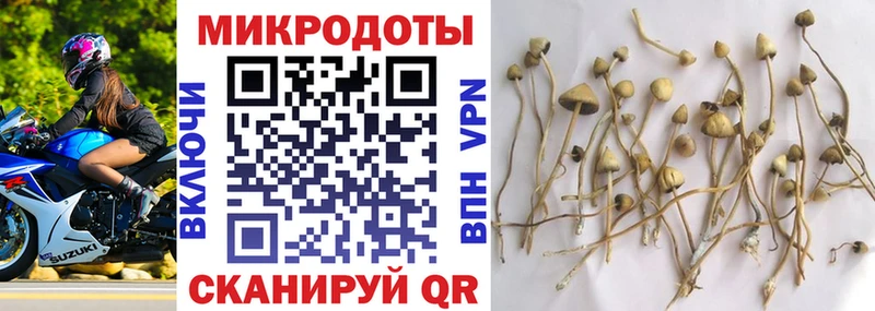 Псилоцибиновые грибы MAGIC MUSHROOMS купить наркотики сайты Среднеуральск